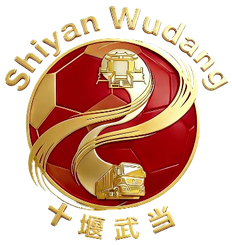 Wuhan Team