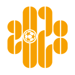 Wenzhou Professional Football Club